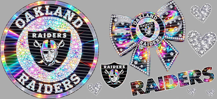 16oz team-NFL 3092